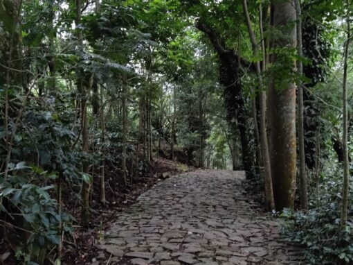 Budget Resorts in Thandigudi