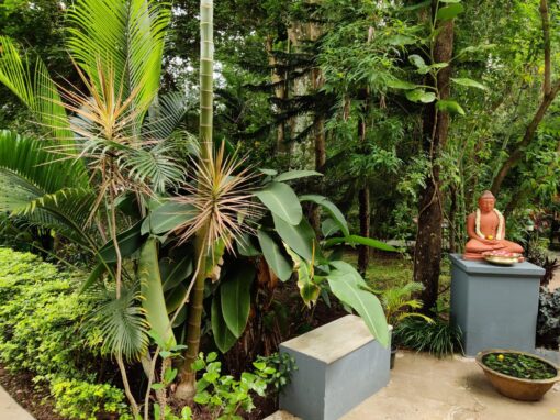 Best Resorts in Kodaikanal
